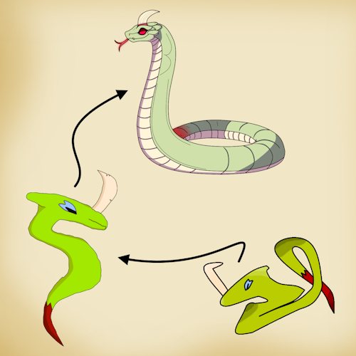 C 0004 Spev evolution