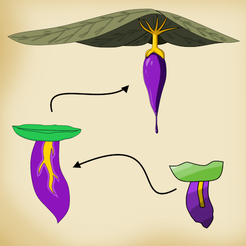 S 0010 Preeze evolution
